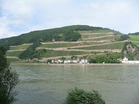 Rhine river