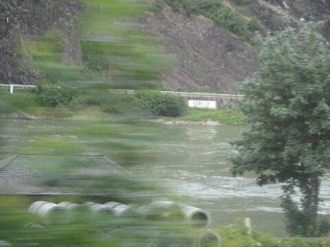 Rhine river 2