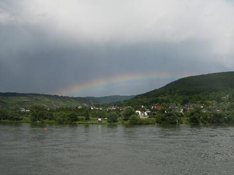 Rhine river 4